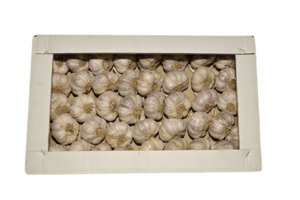 Caja Elefante 4 Kg  Spring Violeta Confeccionado