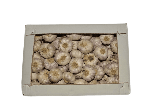 Caja Extra 7 Kg Spring Violeta