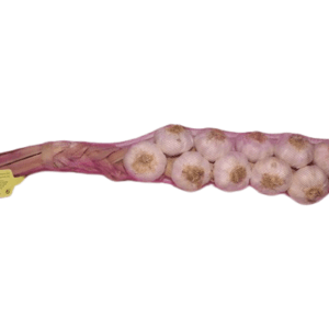 Ristra 10 Cabezas Elefante Ajo Morado